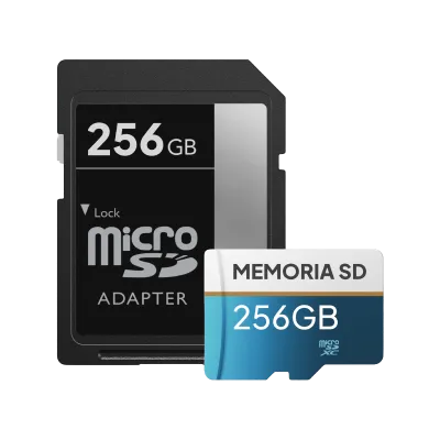Memoria SD 256GB